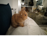 Lxqkeklbqkhôbjjekekrkrjrrjrjrhhthrhfvrbekrkkrkrkfk