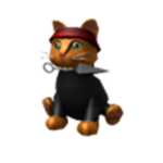 Official Team Ninja Cat