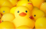 ROYAL HIGH DUCKIE SQUAD <3