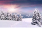 SNOWY DAYS the best day