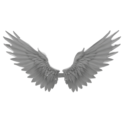 White Angel Wings