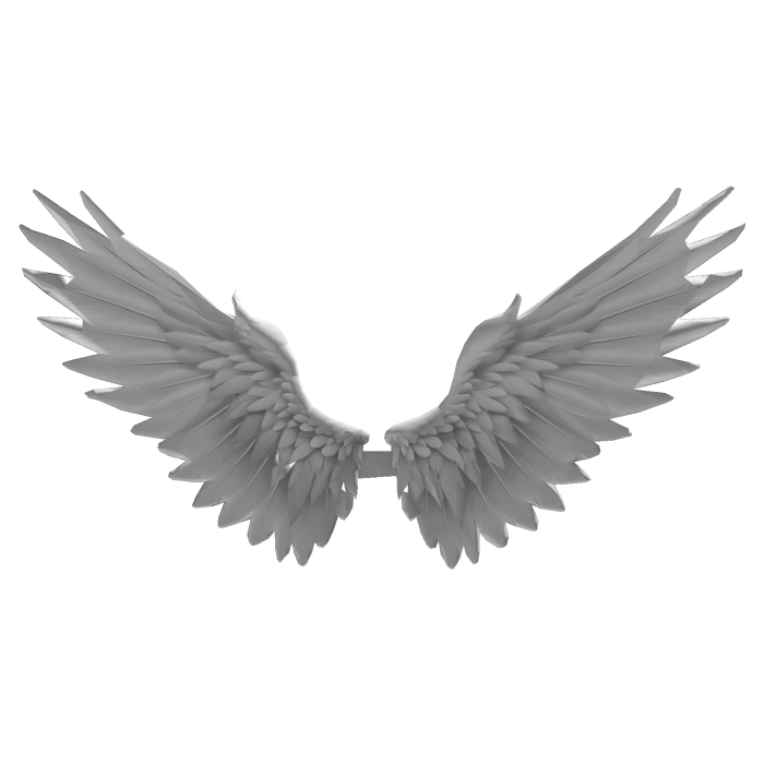 White Angel Wings