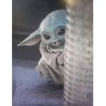THE BABY YODA FAN CLUB :)