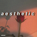 🥀 a e s t h e t i c 🥀