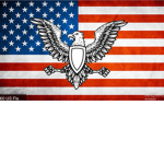 US Military Eagles
