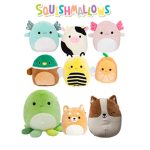 The Squishmallow group