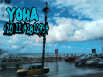 YOHA STORE