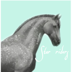 Star riders forever