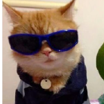 s u k i d a