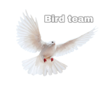 .Team._.Bird.