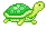 Turtle FAN club...