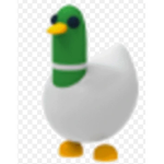 Duckies fan club :)