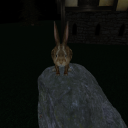 Main Game