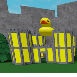 duck wars