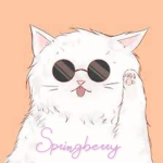 The Springberry