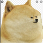 Sky doge military facility