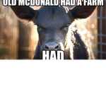 peter the cow
