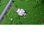 Skrub.jpeg