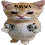8r4tty