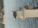 Military purposes