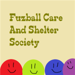 Fur Ball Care And Shelter Society