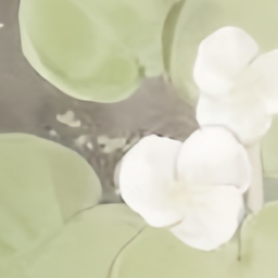 ୨୧