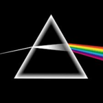 The_Colors