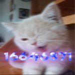 Thre3d Ɣ