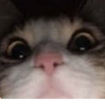 - Veggie G4rden -