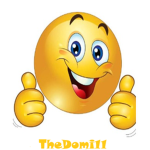 TheDomi11