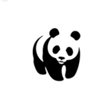 Panda..Crew