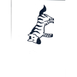 timon group