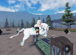 Rose Equine