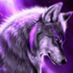 Cursed Wolves Team
