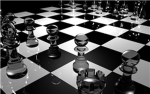 The Chess federation