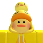 duck groupd:D