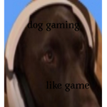 Doggy gaming club