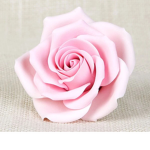 Pink Rosey’s