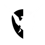 Imperial United Army of Roblox