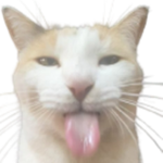 7ws