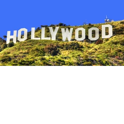Hollywood icon