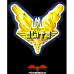 The Death Ruiners Elite Squadron