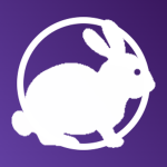 Flying Bunny Co