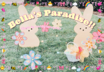 Bella’s paradise!