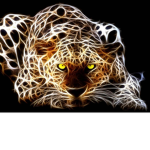 Salay's Tigers