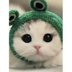 Kittttensssss