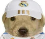 roblox/chipi