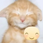 :)Hiii