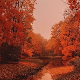 ✧