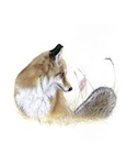 A Foxy Fan Club